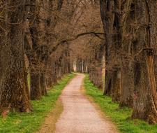 Beautiful landscape of the road, among the green grass and colorful trees in autumn