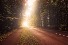 enchanting Autumn Light