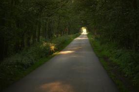 Road Guidance