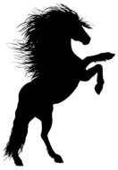black silhouette of a horse with a mane