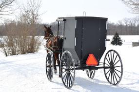 horse with carriage in winter