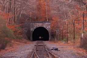 railway tunnel in the forest on the island of Jersey