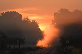 Beautiful, foggy road, in MÃ¼nsterland, at colorful and beautiful sunrise, among the trees