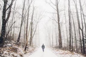 man walking on road through forest on snowy winter