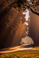 enchanting Sunbeam Road