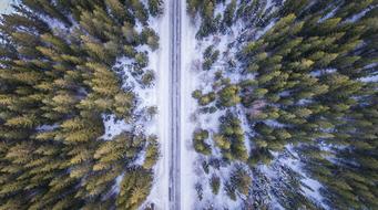 bird's eye view of a snowy forest road