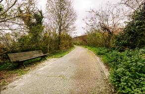 Bench near path a autumn