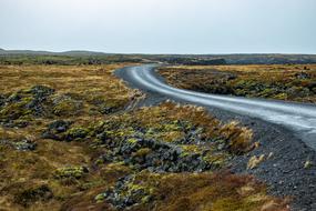 Beautiful landscape of Iceland with the stones covered in moss
