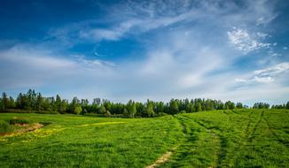 Beautiful landscape of the green field near the trees, under the blue sky with white clouds