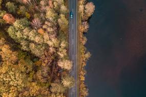 top view of the road next to the trees