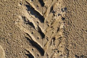 Car Wheel sand