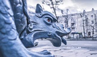 Neck Head Of Vulture