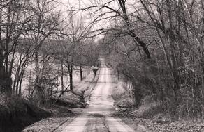 Black and white photo of the beautiful road, among the trees in Missouri, USA, in winter