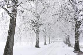 snow park alley