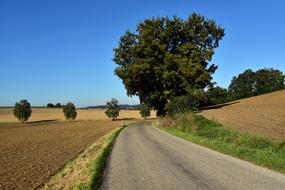 road among summer fields