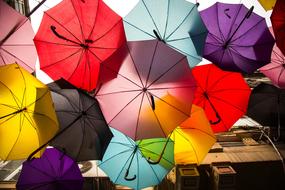 colorful Umbrellas on lines above Street