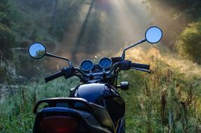 Motorcycle parked in Forest at sunny summer Morning