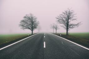 landscape of foggy road