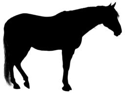 black silhouette of a farm horse