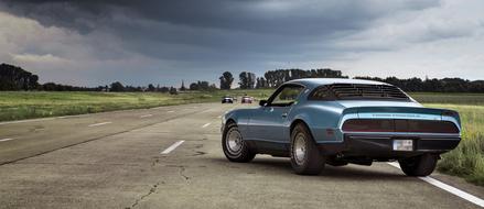 Shelby Muscle Car on road in countryside