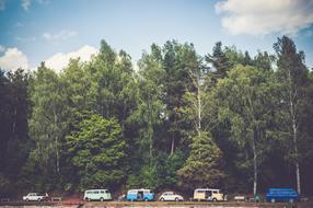 vehicles are parked near trees