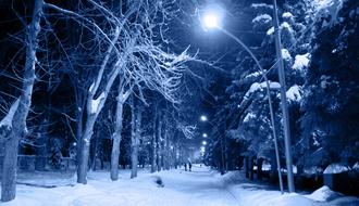 night image of a winter park under the light of a street lamp