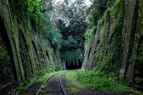 railway tracks in a gorge overgrown with green moss