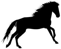 side view of horse, silhouette