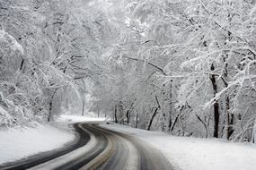 splendid Winter Wonderland Landscape