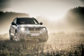 Beautiful BMW SUV car on the foggy field, among the trees in sunlight, in autumn