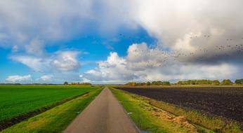 wonderful Autumn landscape with the fields