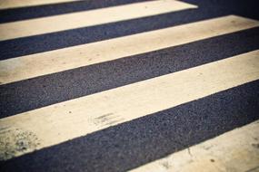 Road Crosswalk Pedestrian