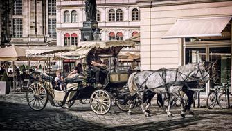 horse drawn carriage with tourists