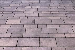 paving stone texture