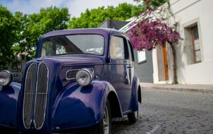 Oldtimer Purple Violet