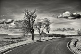 Black and white photo of the beautiful road, among the trees, fields and hills, under the cloudy sky