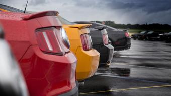 Shelby Muscle Car