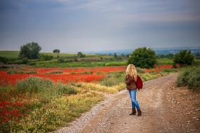 splendid Path Girl Landscape