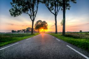 red Sunset over the Road and Trees