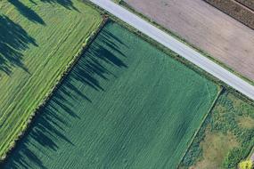 aerial view of scenic Cropland at summer