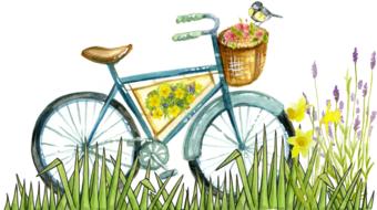 drawing of old vintage bicycle and pretty flowers