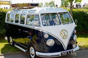 Van Volkswagen parked on green grass