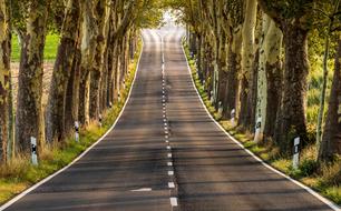 Beautiful avenue, among the colorful fields and trees, in light and shadow, in Germany