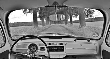 Vw Beetle monochrome