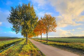 Landscape of the beautiful road, among the colorful fields and trees, in sunlight, under the blue sky with clouds, in the autumn