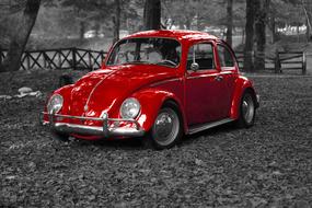 Beautiful, shiny, red VW Beetle car on the road, among the trees, in black and white colors