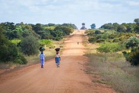 African Women Walking on the path among colorful plants