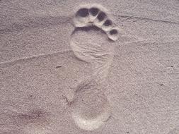 footprint of a bare foot on the beach