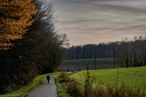 Person, walking on the beautiful road, among the colorful trees and fields, under the colorful cloudy sky