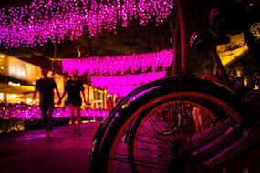 couple, bike and pink street light, taipei, taiwan